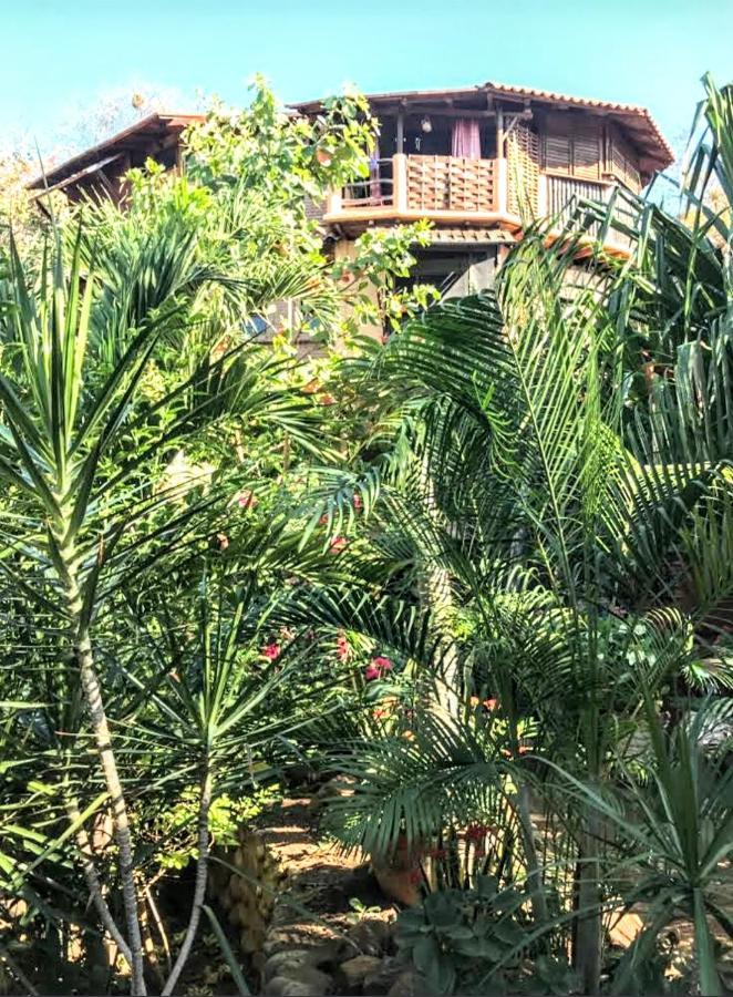 Posada Olivo Масунте Экстерьер фото
